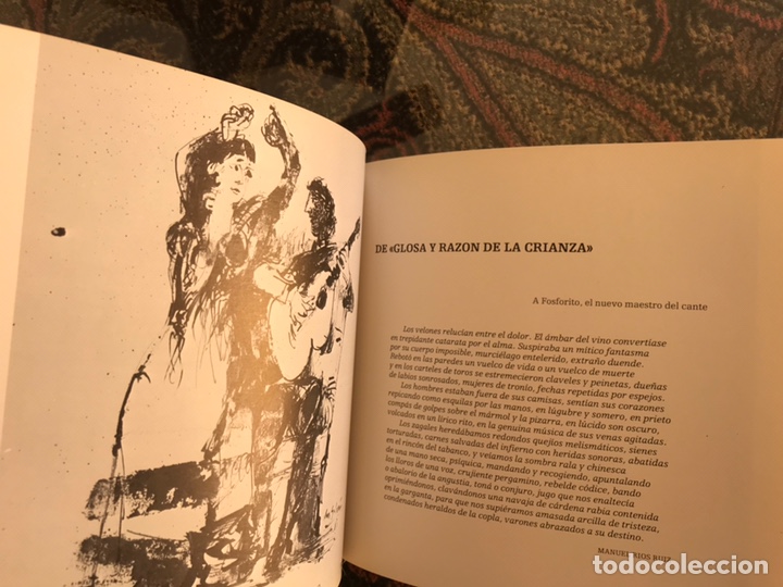 Libros de segunda mano: Fosforito. Buen estado - Foto 8