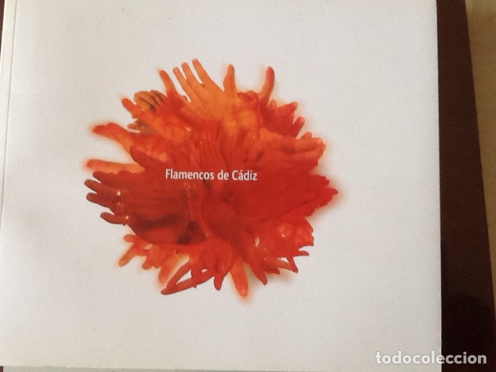 Libros de segunda mano: FLAMENCOS DE C&Aacute;DIZ - Foto 1