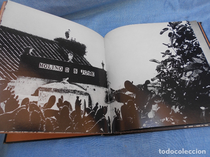 Libros de segunda mano: LUCES Y SOMBRAS DEL FLAMENCO - Foto 24