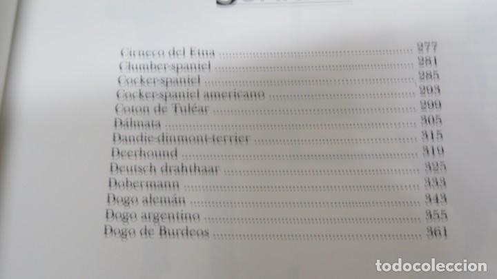 Libros de segunda mano: MIS AMIGOS LOS PERROS - Foto 2