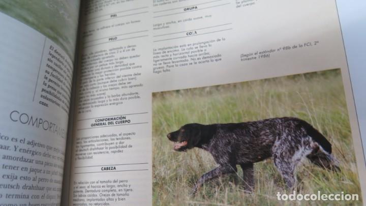 Libros de segunda mano: MIS AMIGOS LOS PERROS - Foto 3