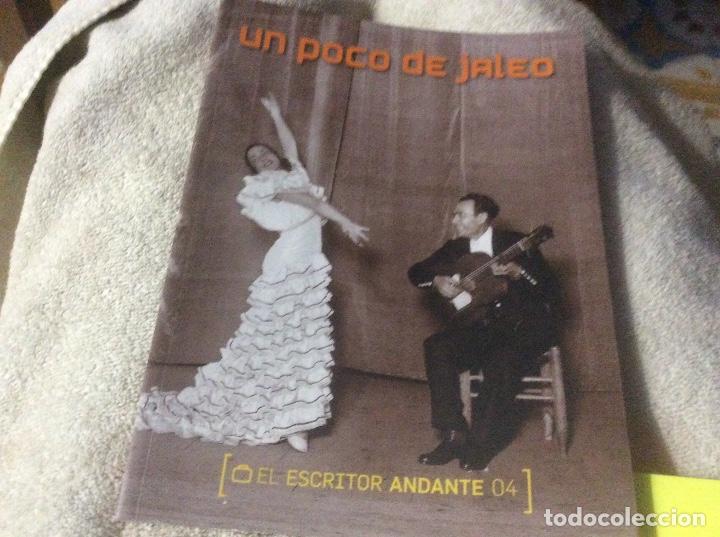 Libros de segunda mano: Un poco de jaleo el escritor andante flamenco 04