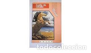 Libros de segunda mano: PETE TOWNSHEND. Cuello de caballo - Foto 1