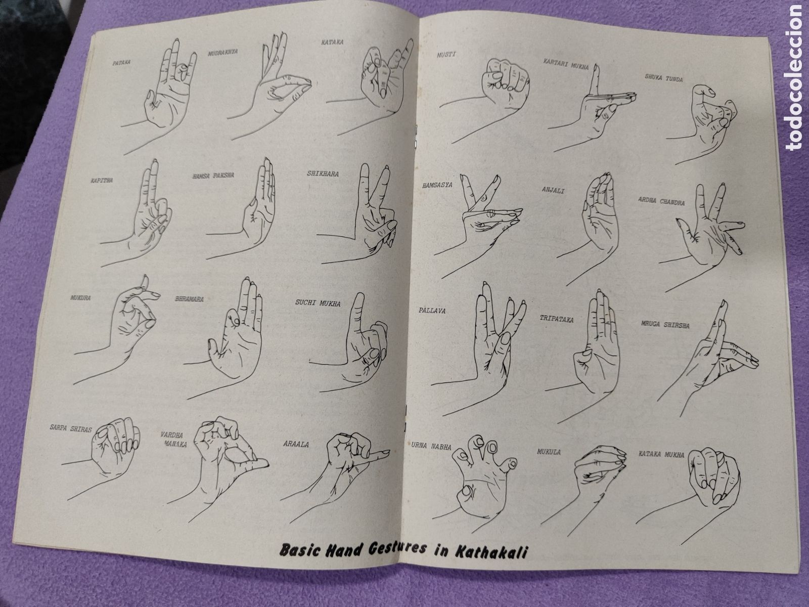 Libros de segunda mano: ANTIGUO LIBRO MUSICA INDIA - Foto 6