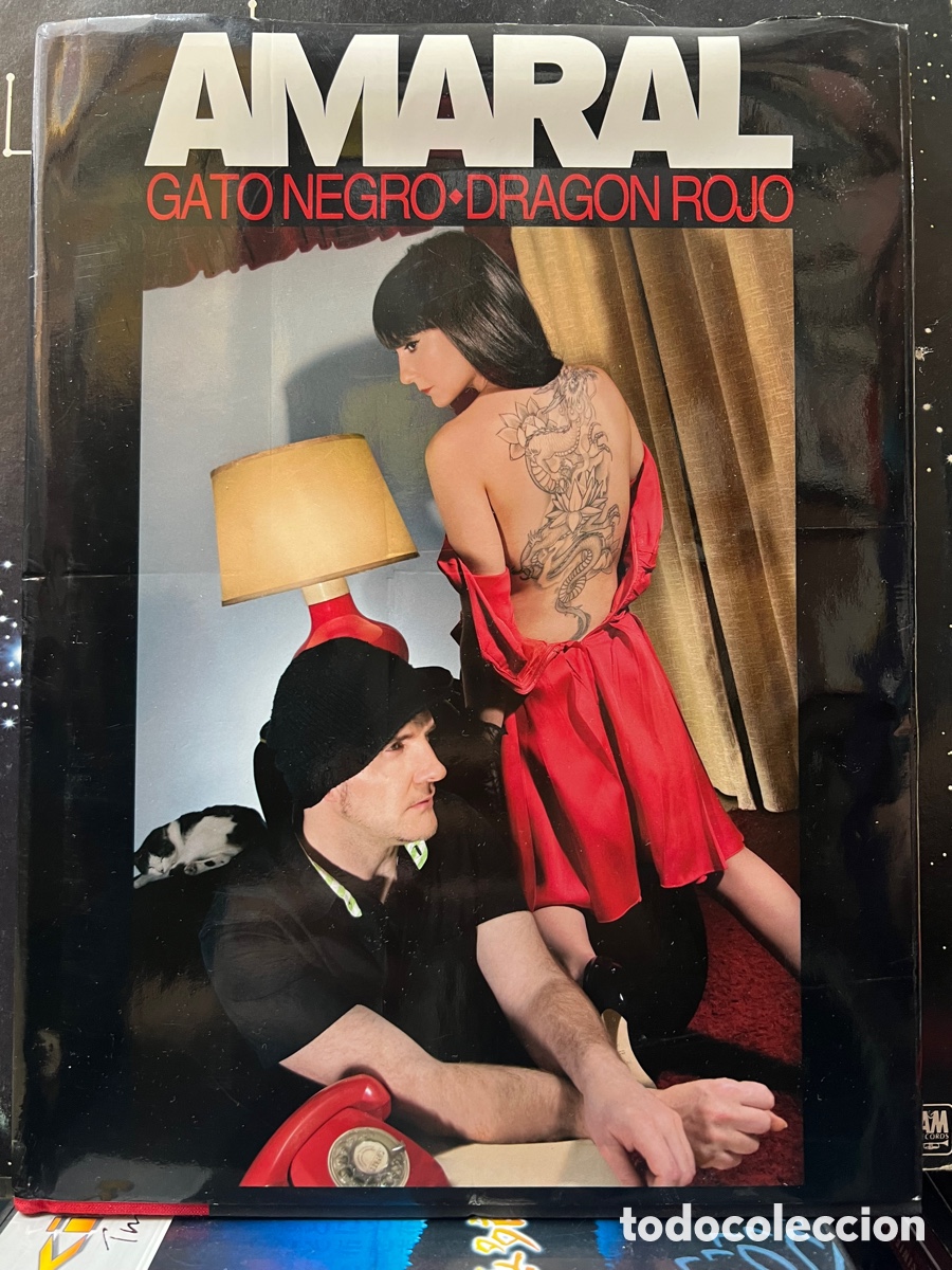 Gebrauchte B&uuml;cher: Amaral Gato negro + Drag&oacute;n rojo Sin CD, solo libro