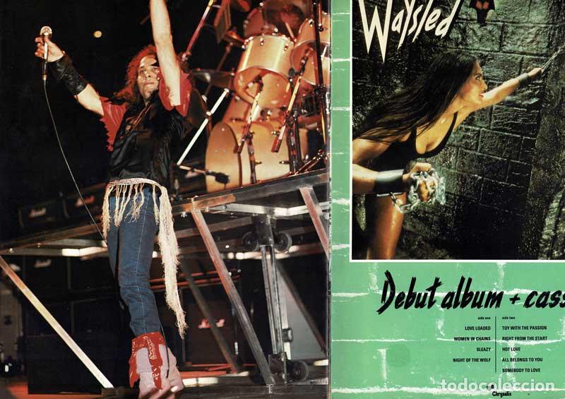 Libros de segunda mano: Dio Tour Book c.1983. Programa gira + entrada - Foto 5