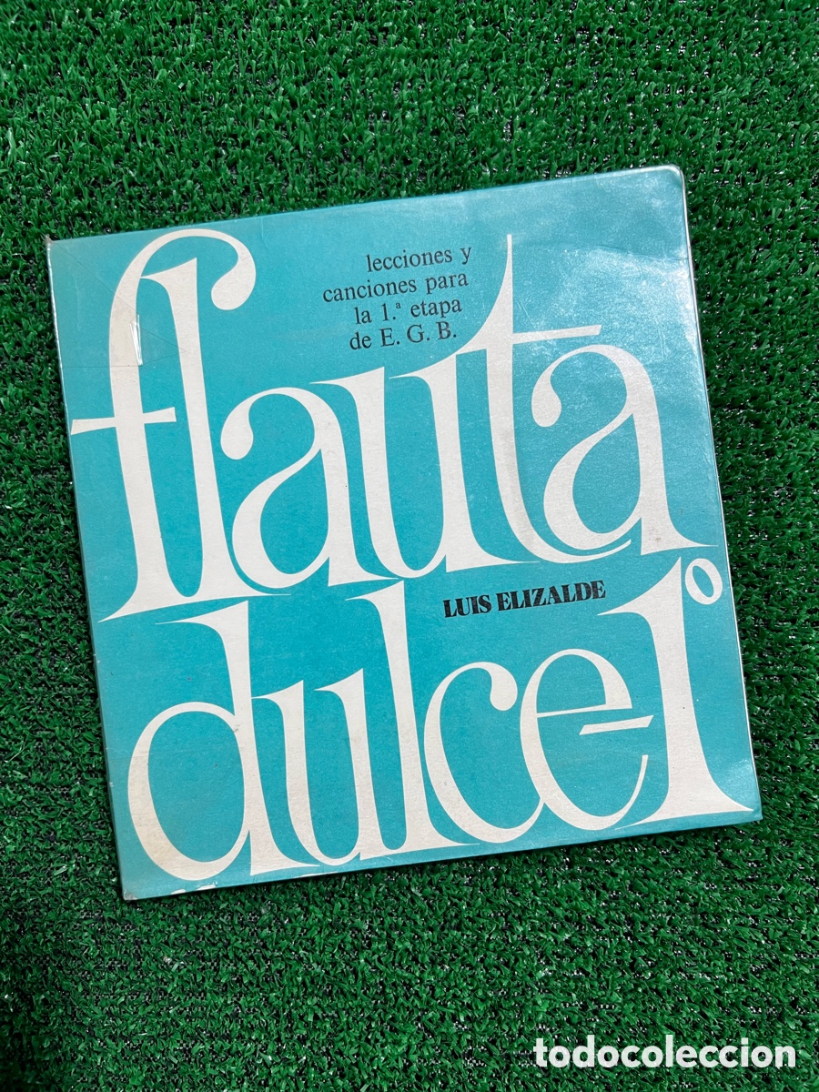Libros de segunda mano: Flauta dulce - Luis Elizalde - Foto 1