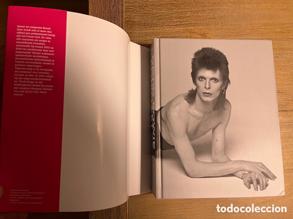 Libros de segunda mano: David Bowie Compleet - Foto 2