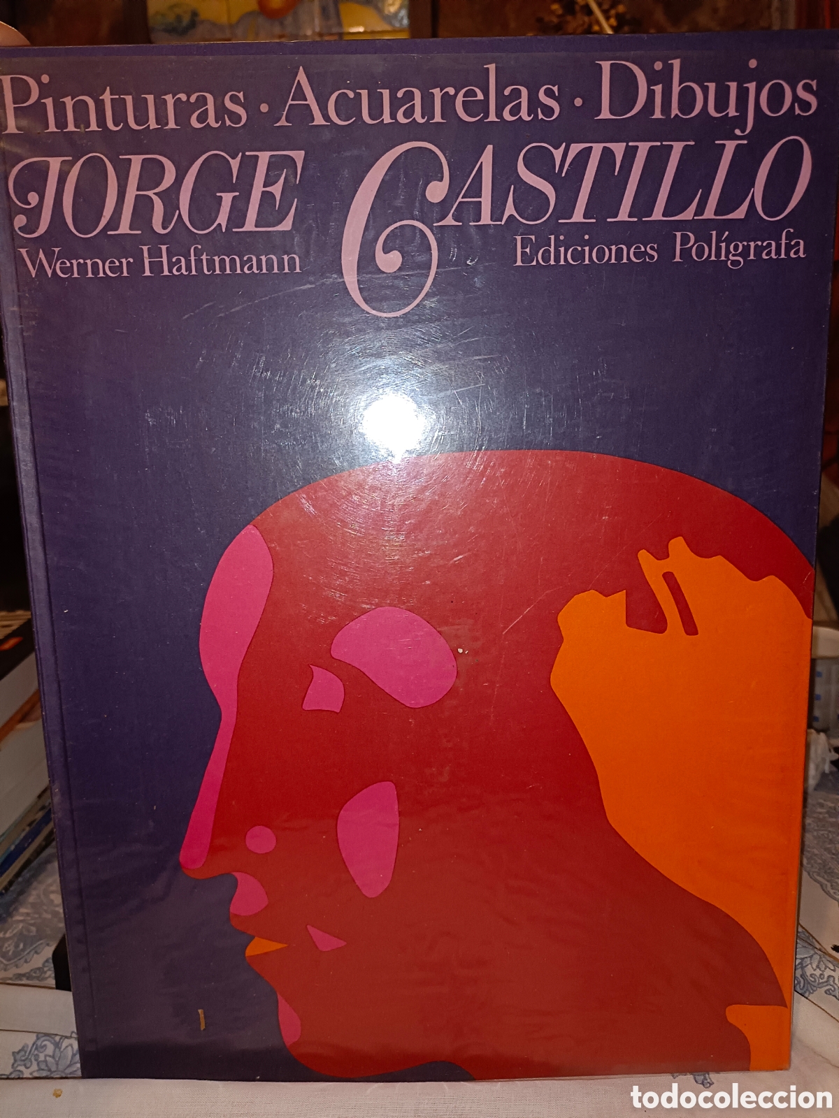 Libros de segunda mano: Pinturas, Acuarelas, Dibujos - Foto 1