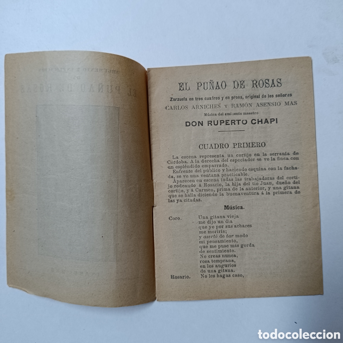 Libros de segunda mano: ARGUMENTOS Y EXPLICACION DE EL PU&Ntilde;AO DE ROSAS - ISABEL BRU - Foto 2