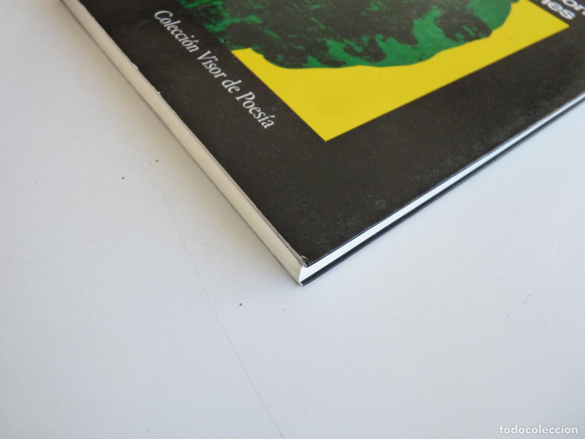 Libros de segunda mano: George Jackson y otras canciones Bob Dylan REF: 3-242 - Foto 2