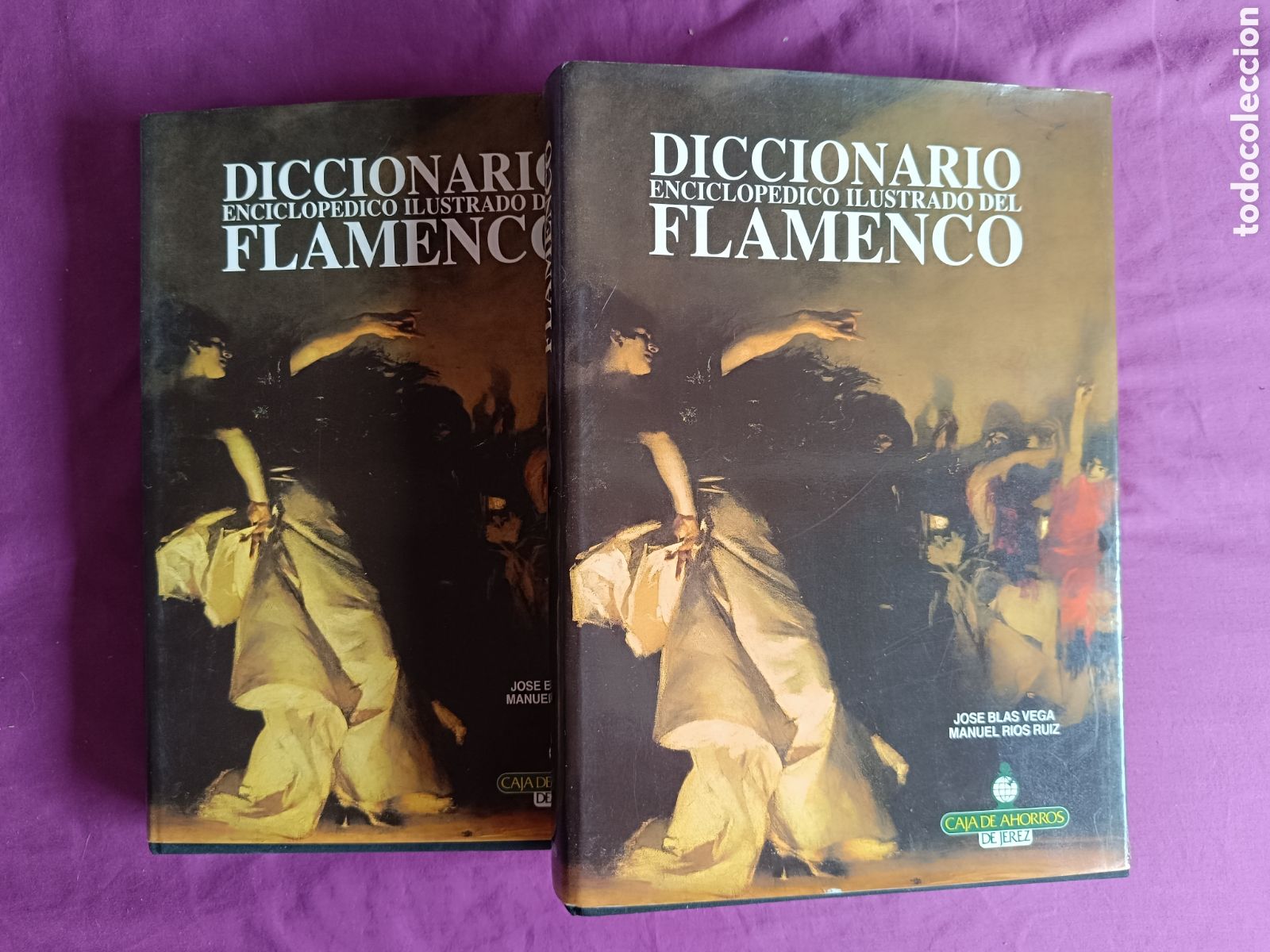 Libros de segunda mano: DICCIONARIO ENCICLOP&Eacute;DICO ILUSTRADO FLAMENCO. BLAS VEGA Y RIOS RUIZ. CINTERCO 2 VOLUMENES