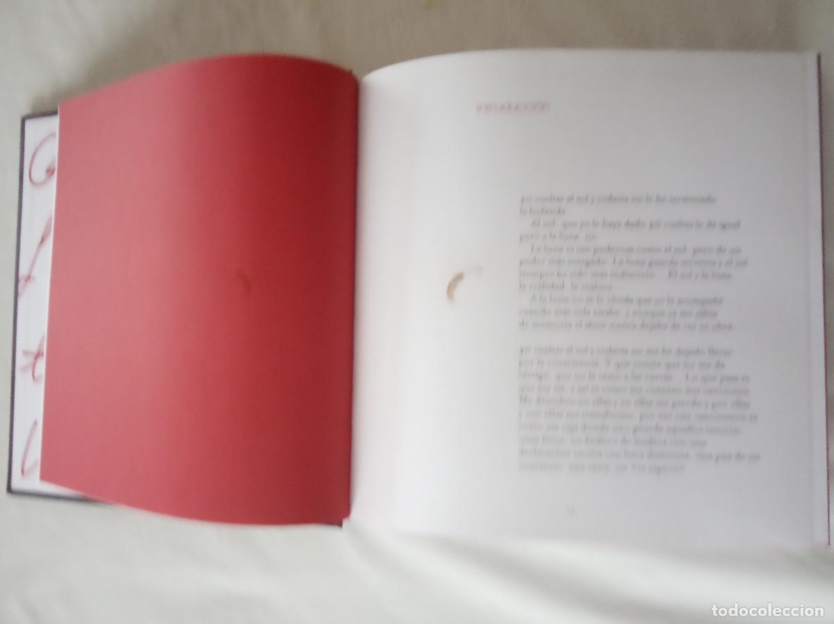 Libros de segunda mano: Libro Alejandro Sanz - 40 Vueltas al Sol - Foto 10