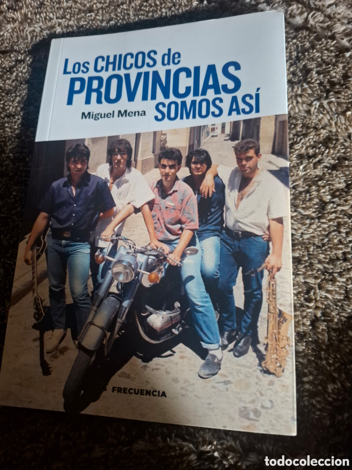 Livros em segunda m&atilde;o: Los Chicos De Provincias Somos As&iacute;. Miguel Mena