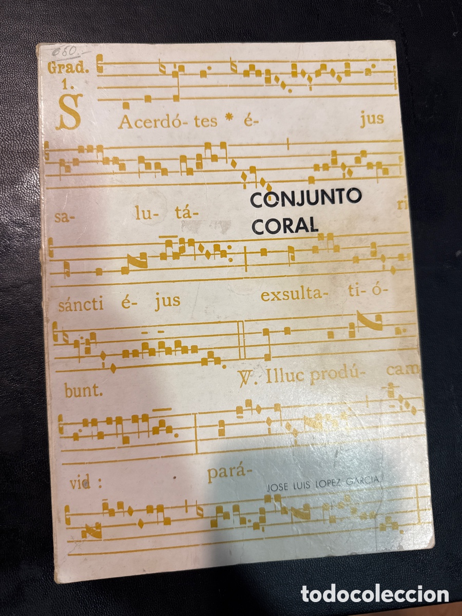 Libros de segunda mano: Conjunto coral: Cuestionario te&oacute;rico adaptado a la Asignatura de Conjunto Coral