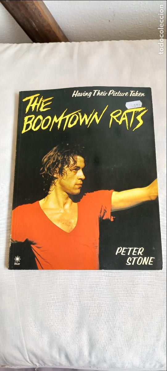 Libros de segunda mano: The Boomtown Rats. Having Their Picture Taken. Peter Stone. 1980. ISBN 0352307684