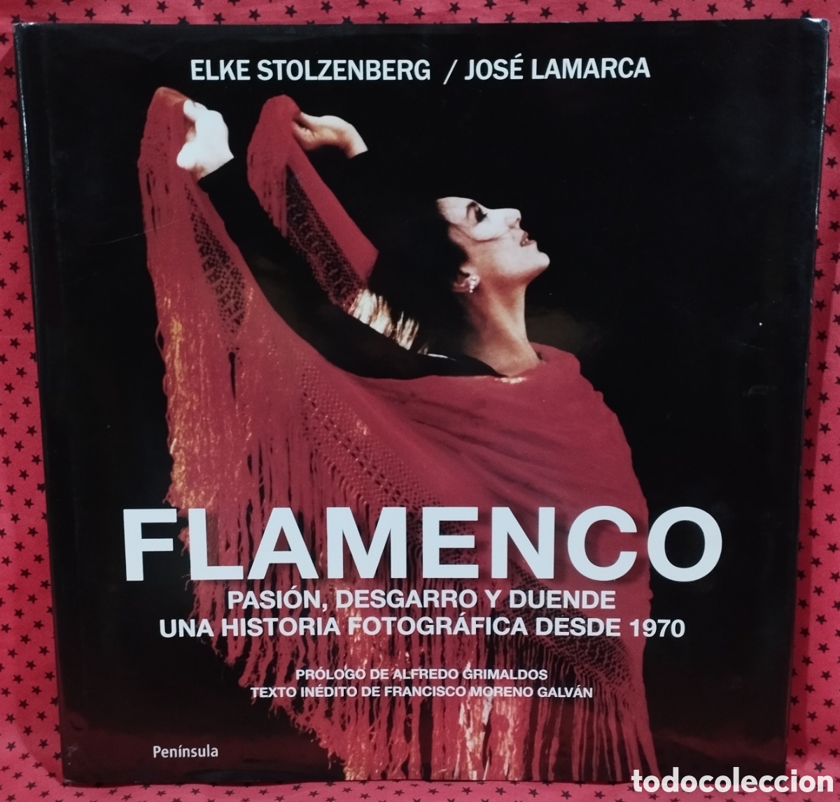 Libros de segunda mano: FLAMENCO - PASI&Oacute;N, DESGARRO Y DUENDE - UNA HISTORIA FOTOGR&Aacute;FICA DESDE 1970 -