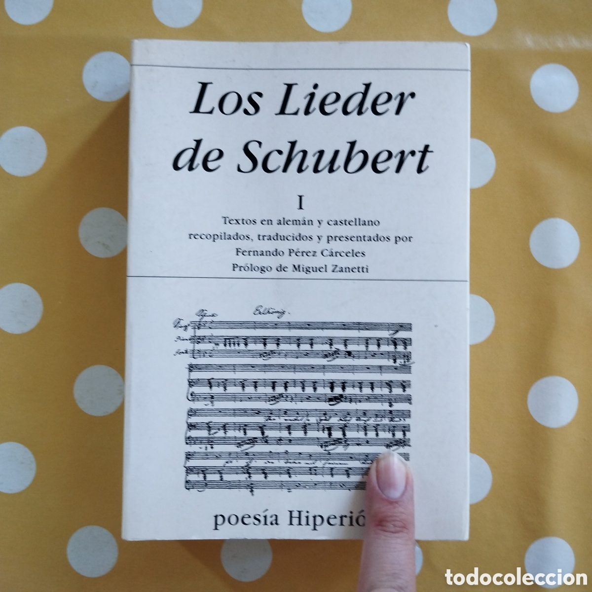 Libros de segunda mano: LOS LIEDER DE SCHUBERT I POES&Iacute;A HIPERION FERNANDO P&Eacute;REZ C&Aacute;RCELES 2005