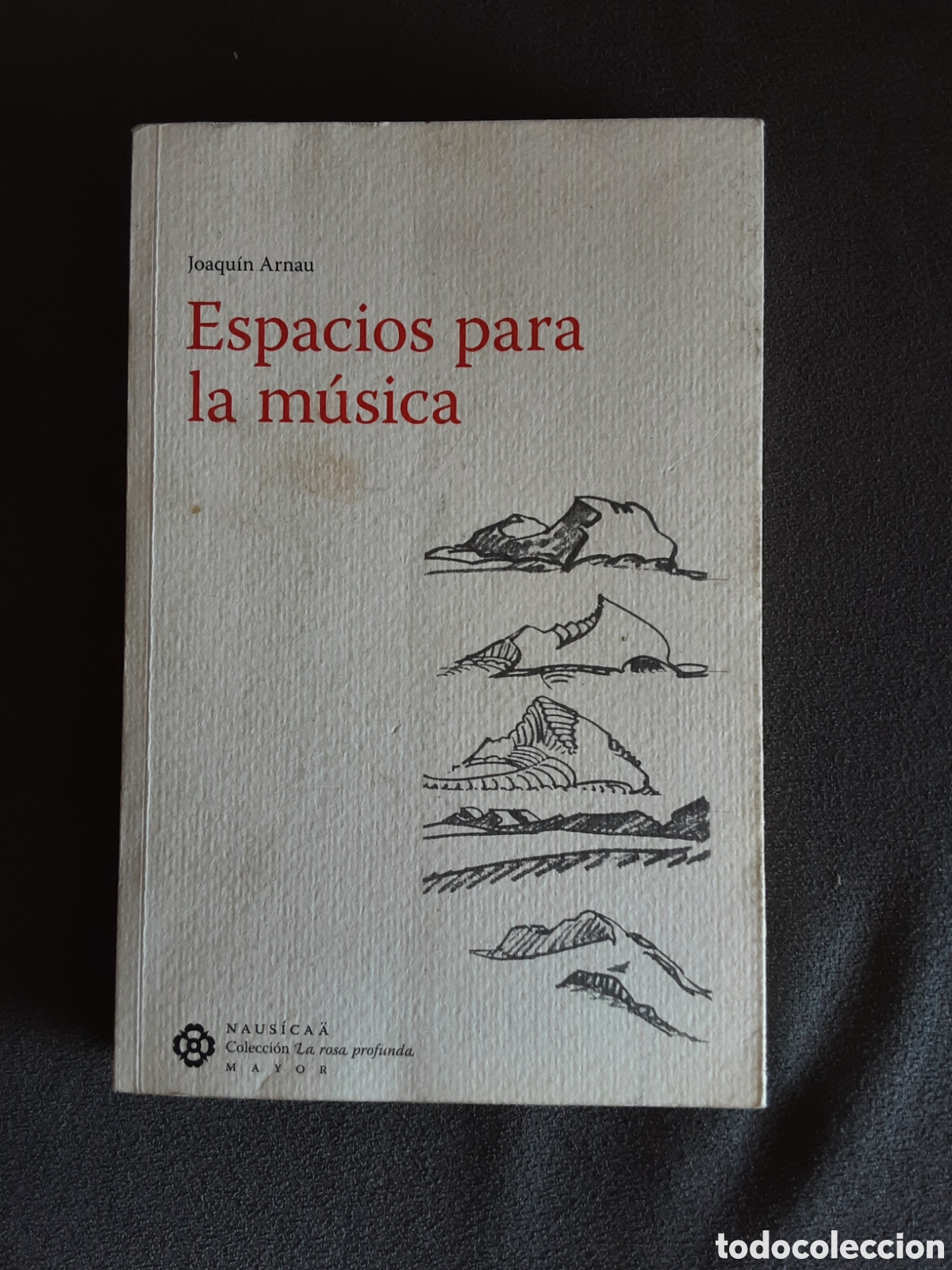 Libros de segunda mano: ESPACIOS PARA LA MUSICA POR JOAQUIN ARNAU 2005 PRIMERA EDICION