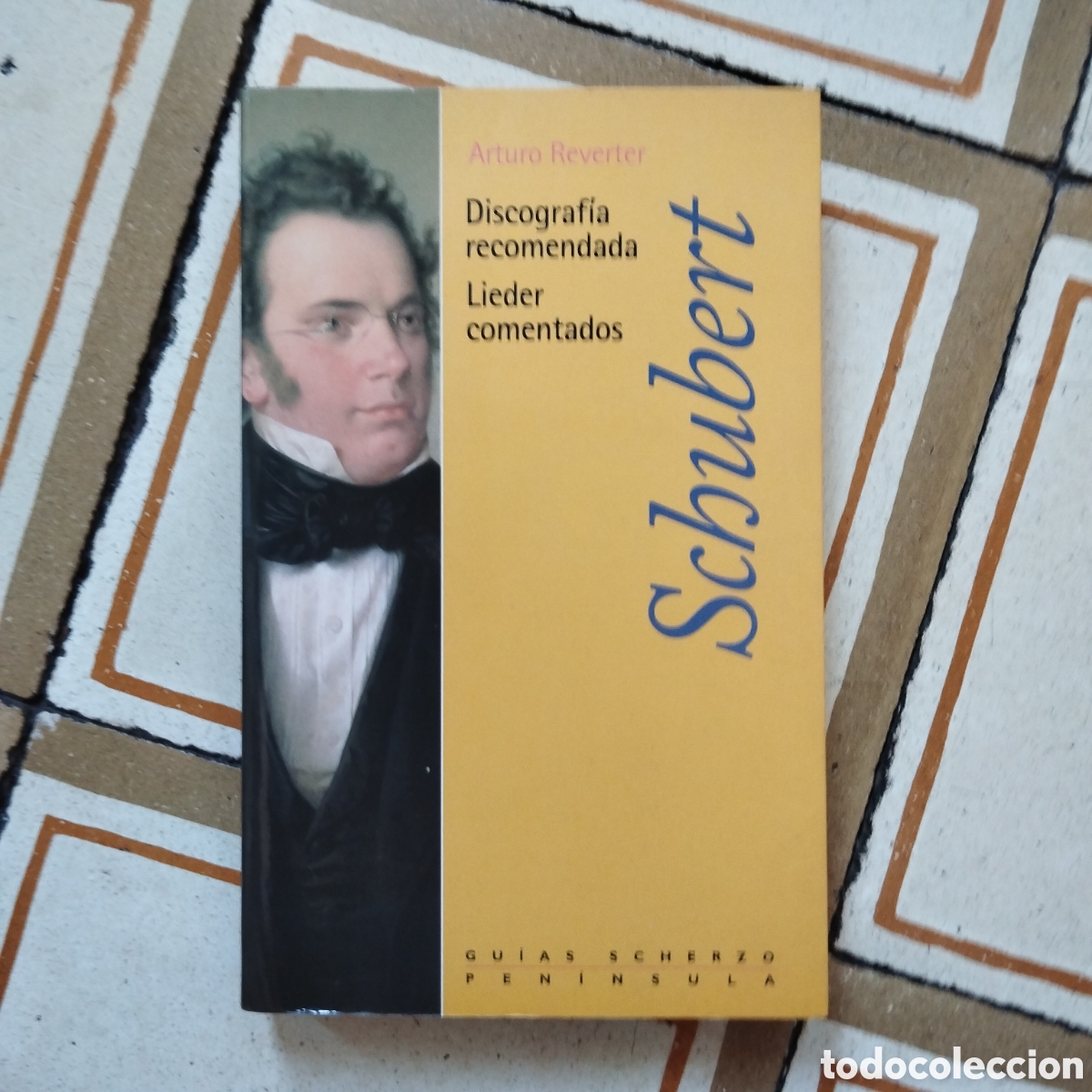 Libros de segunda mano: SCHUBERT ARTURO REVERTER PEN&Iacute;NSULA GUIAS SCHERZO DISCOGRAF&Iacute;A RECOMENDADA LIEDER COMENTADOS