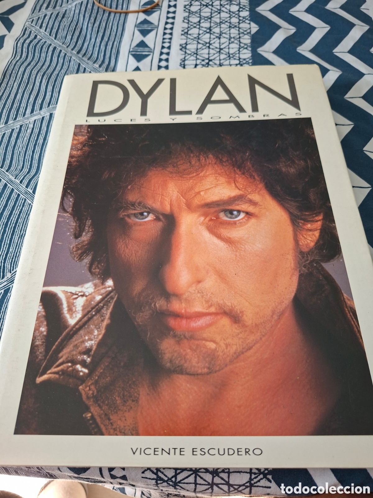 Libros de segunda mano: BOB DYLAN. LUCES Y SOMBRAS