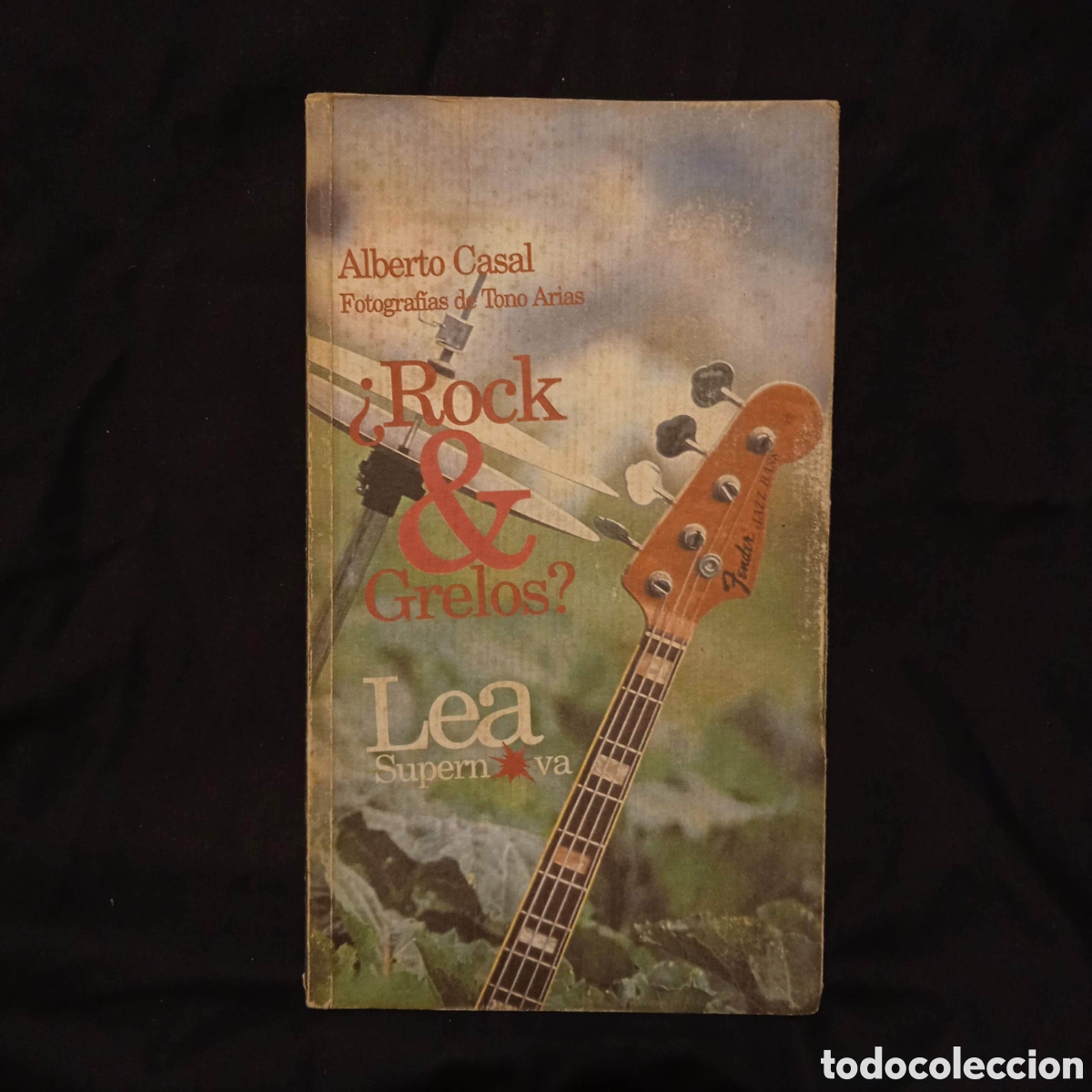 Libros de segunda mano: &iquest;ROCK & GRELOS? - ALBERTO CASAL CON FOTOS DE TONO ARIAS - LEA 1995 #9756