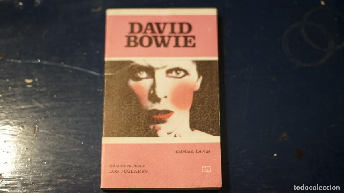 Libros de segunda mano: Esteban Leivas - David Bowie - Jucar 1977