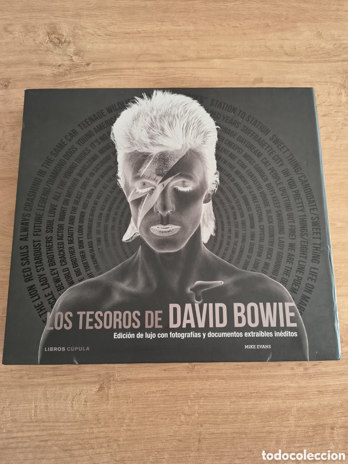Libros de segunda mano: Los tesoros de David Bowie