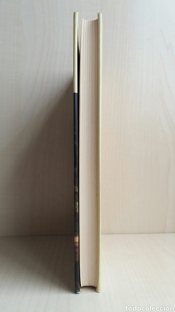 Libros de segunda mano: La batalla. Patrick Rambaud. Ediciones Mart&iacute;nez Roca, Alcor, 1998. - Foto 5