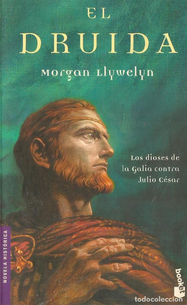 Libros de segunda mano: El druida. Morgan Llywelyn - Foto 1