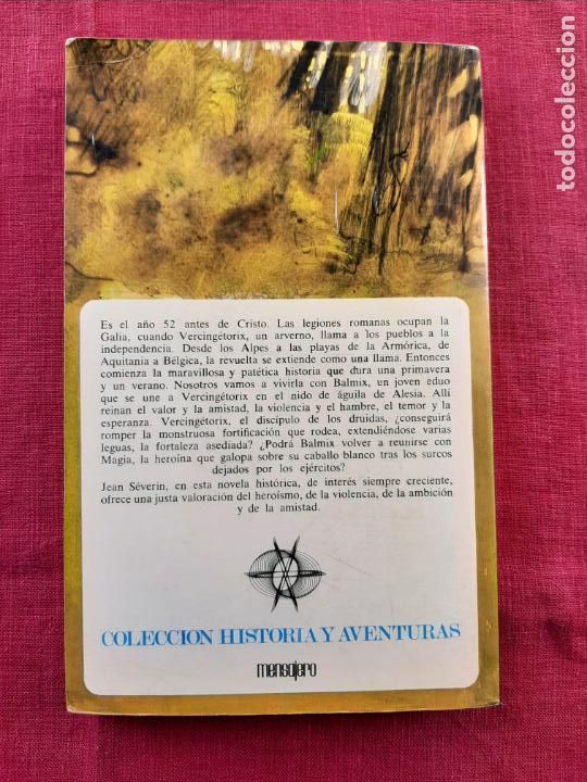Libros de segunda mano: Vercing&eacute;torix - Severin, Jean - Foto 2