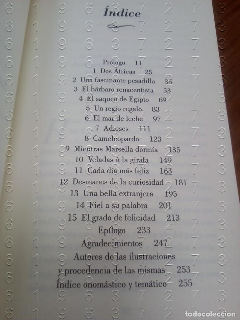 Libros de segunda mano: ZARAFA MICHAEL ALLIN APOSTROFE U61 - Foto 6