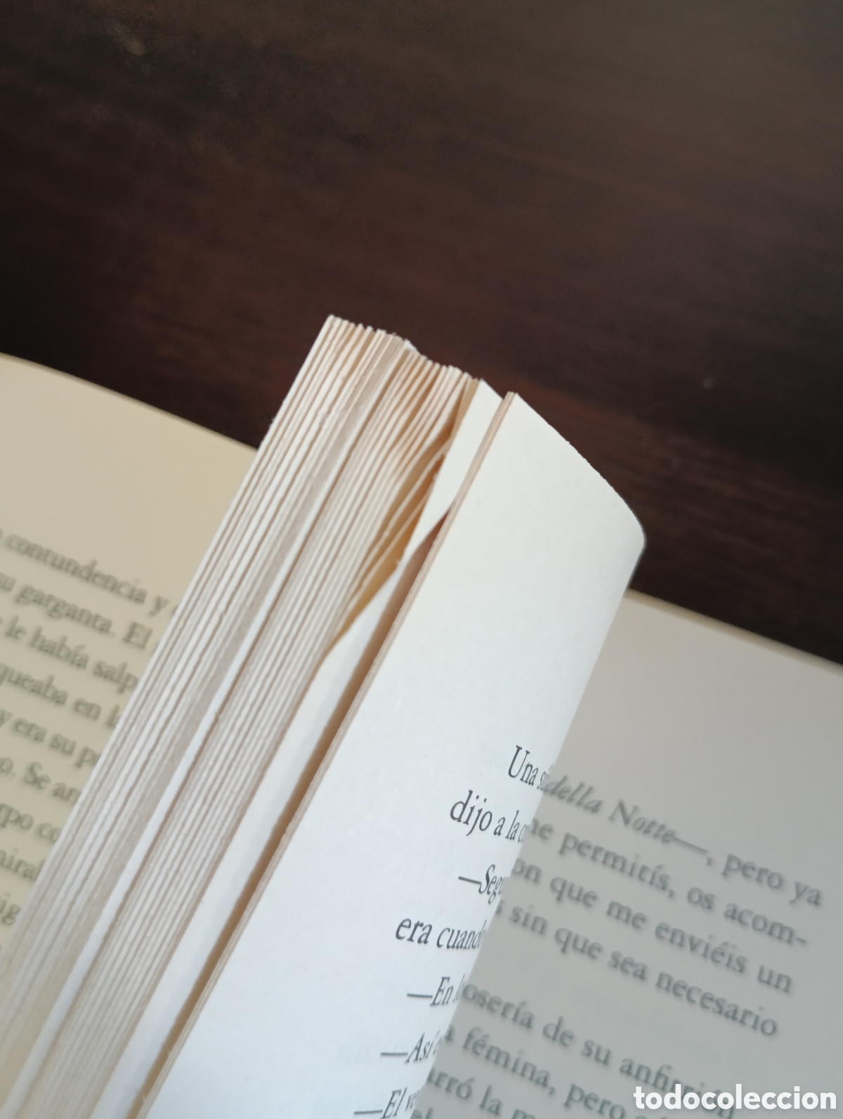 Libros de segunda mano: GOLPE A VENECIA. MANUEL AYLL&Oacute;N. - Foto 12