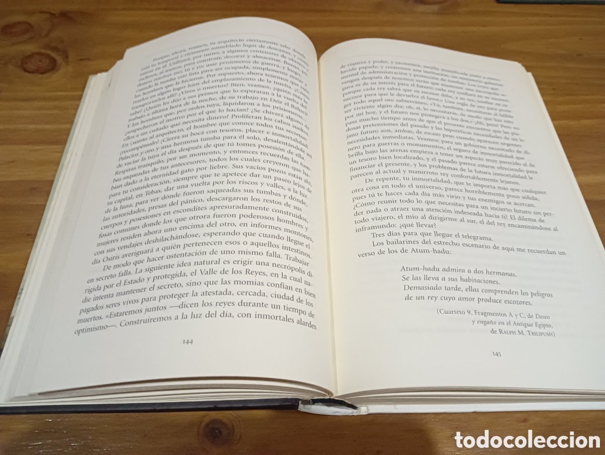 Libros de segunda mano: El Egiptologo. Arthur philips - Foto 6