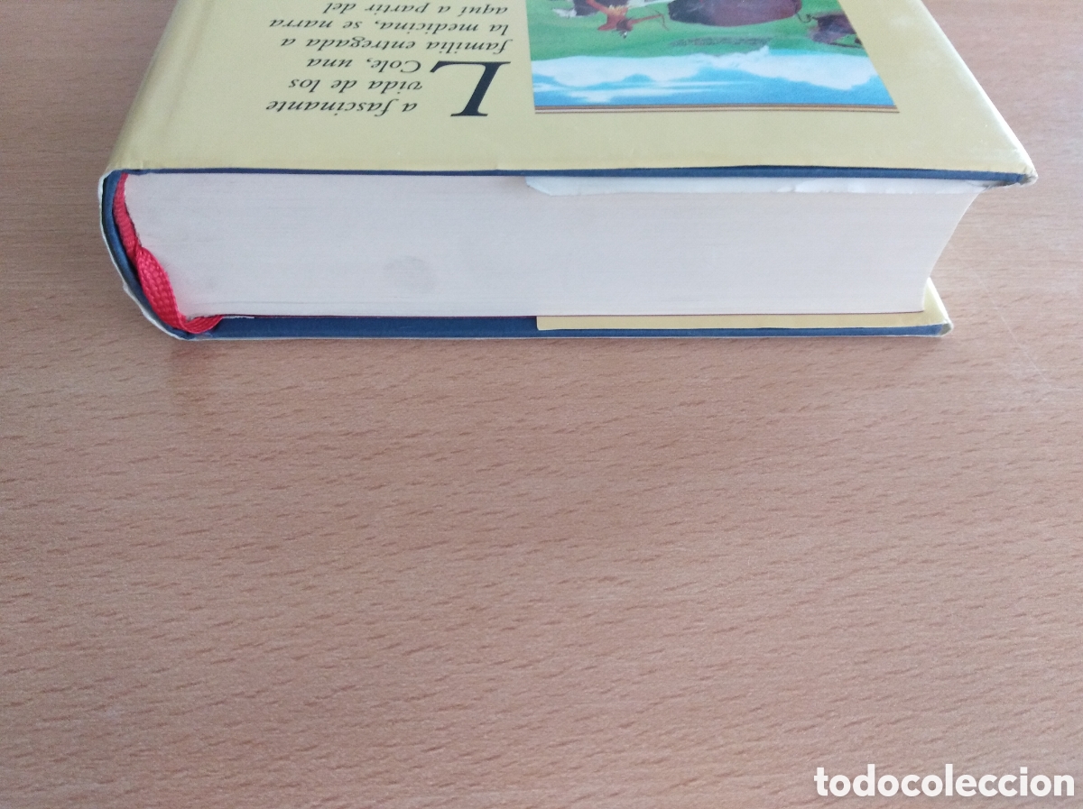 Libros de segunda mano: CHAM&Aacute;N. Noah Gordon. C&iacute;rculo de Lectores - Foto 3