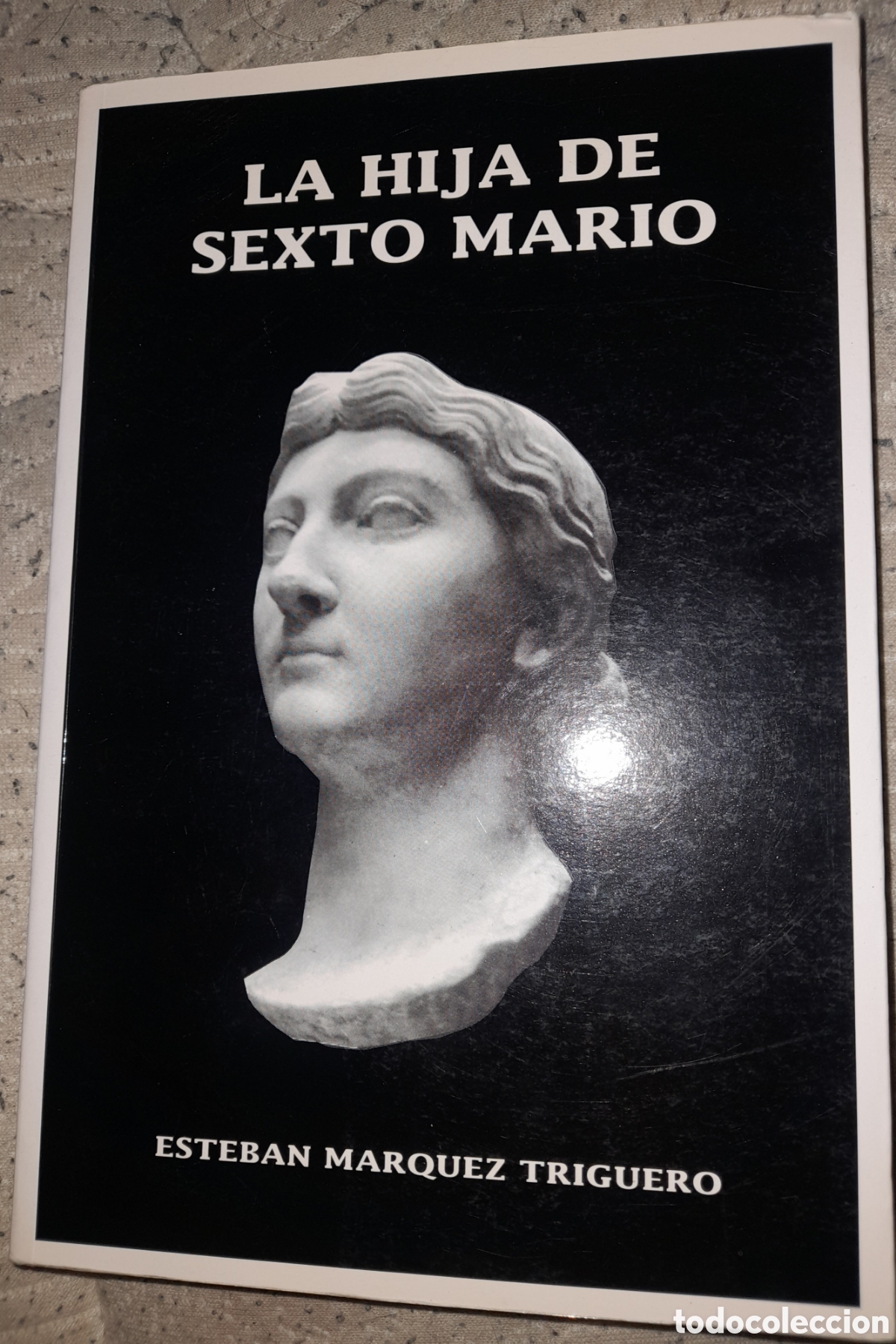 Gebrauchte B&uuml;cher: LA HIJA DE SEXTO MARIO. ESTEBAN M&Aacute;RQUEZ TRIGUERO. EDITADO POR GRUPO DE EMPRESAS