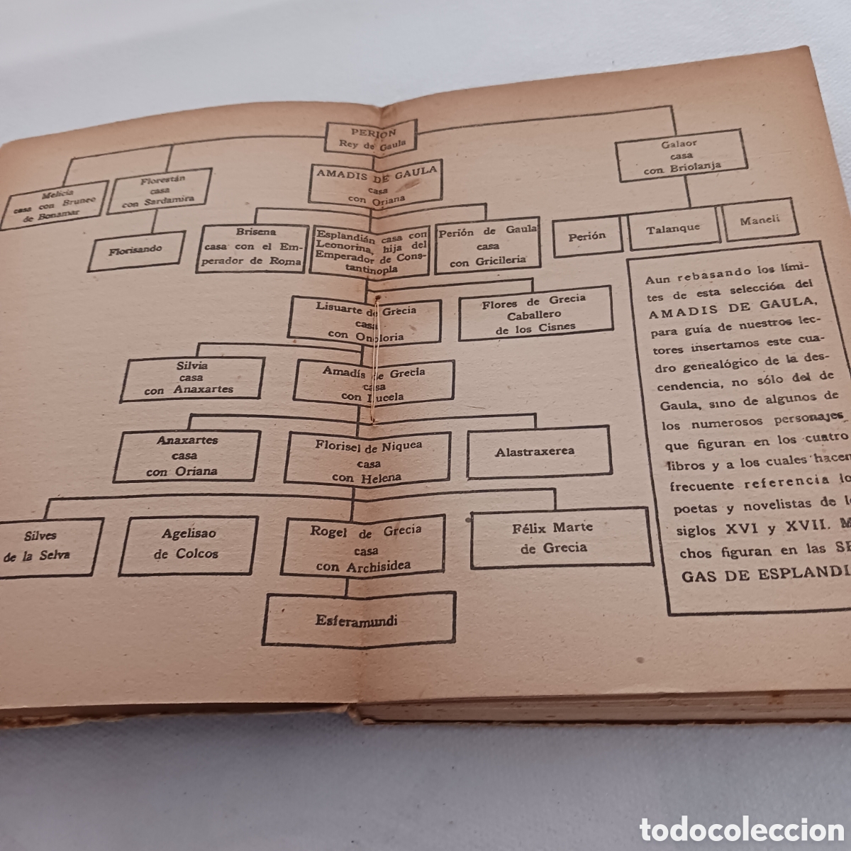 Libros de segunda mano: Amadis de Gaula.Anonimo. - Foto 8
