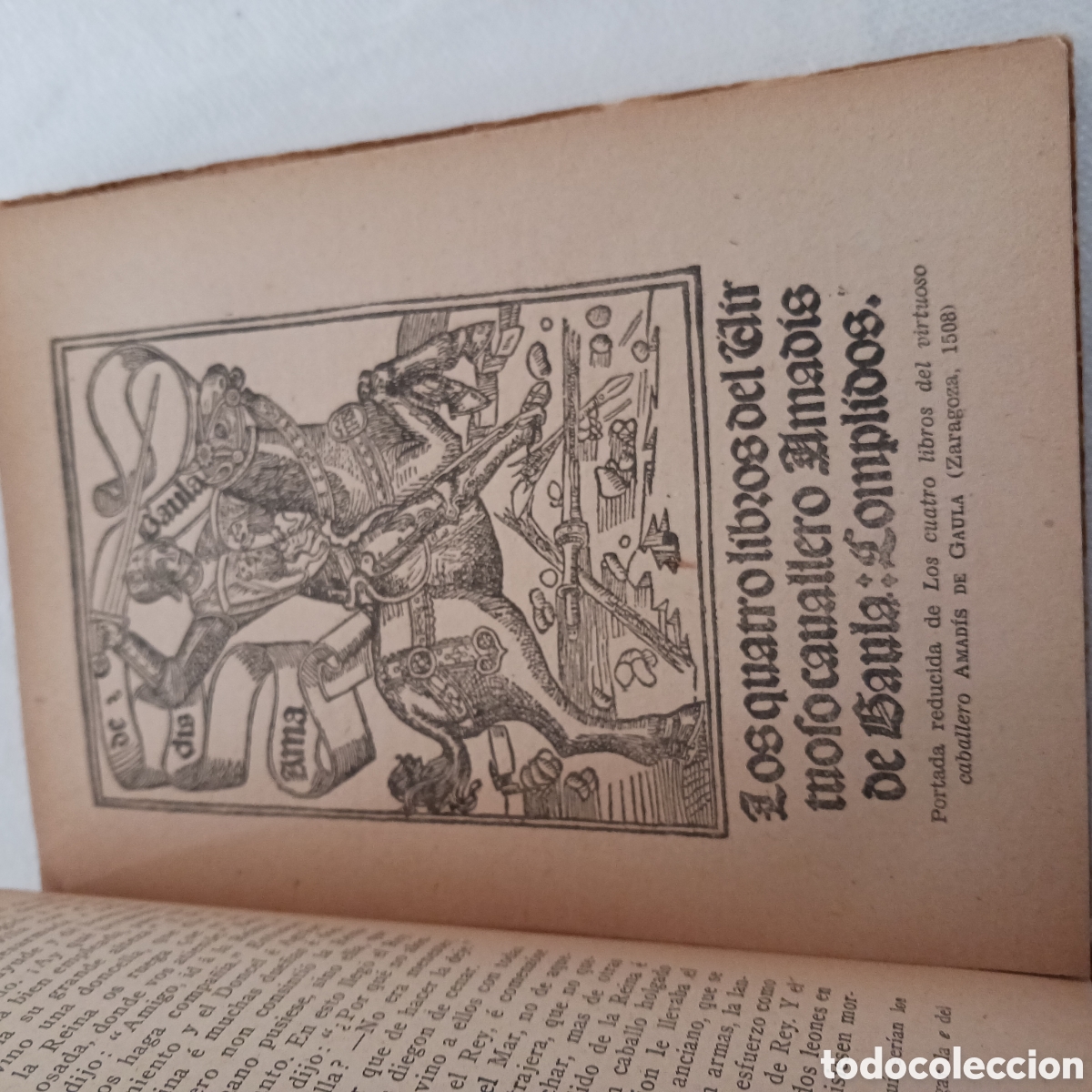 Libros de segunda mano: Amadis de Gaula.Anonimo. - Foto 9