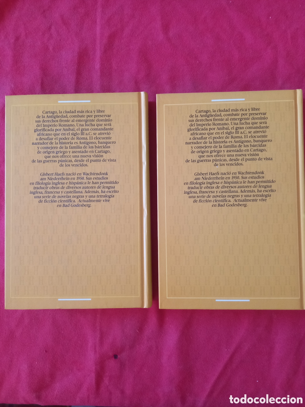 Libros de segunda mano: An&iacute;bal. Gisbert Haefs. Dos tomos - Foto 2