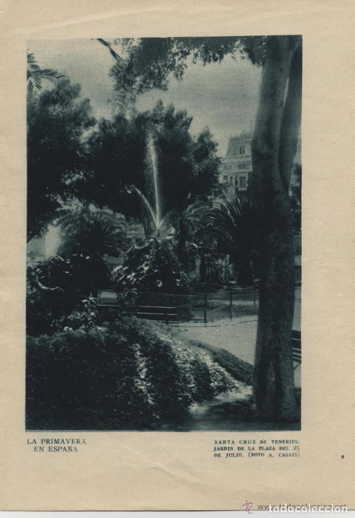 Gebrauchte B&uuml;cher: * CANARIAS * Jard&iacute;n de la plaza del 25 de julio en Santa Cruz de Tenerife - 1926