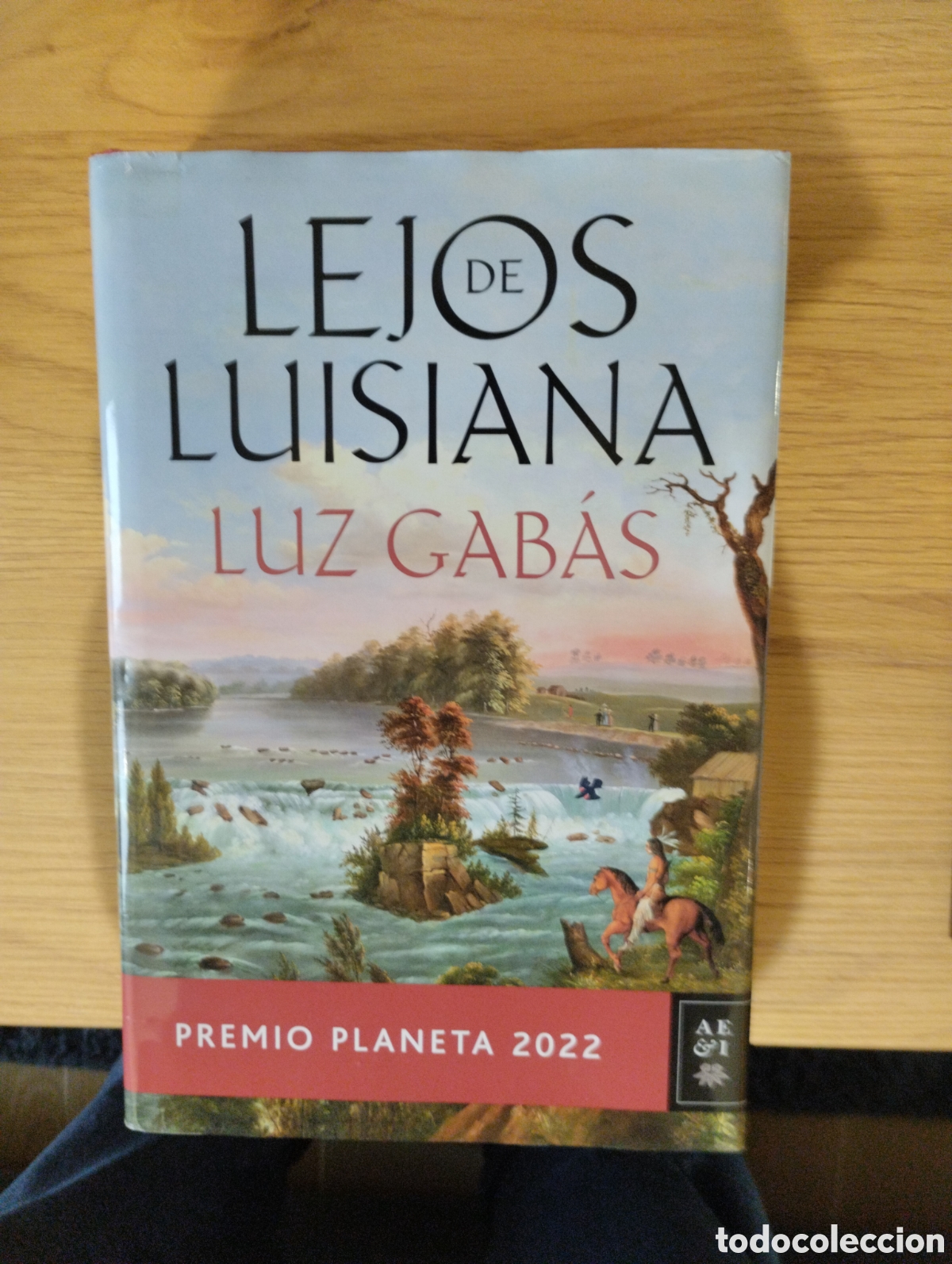 Gebrauchte B&uuml;cher: LEJOS DE LUISIANA, AUTORA LUZ GABAS