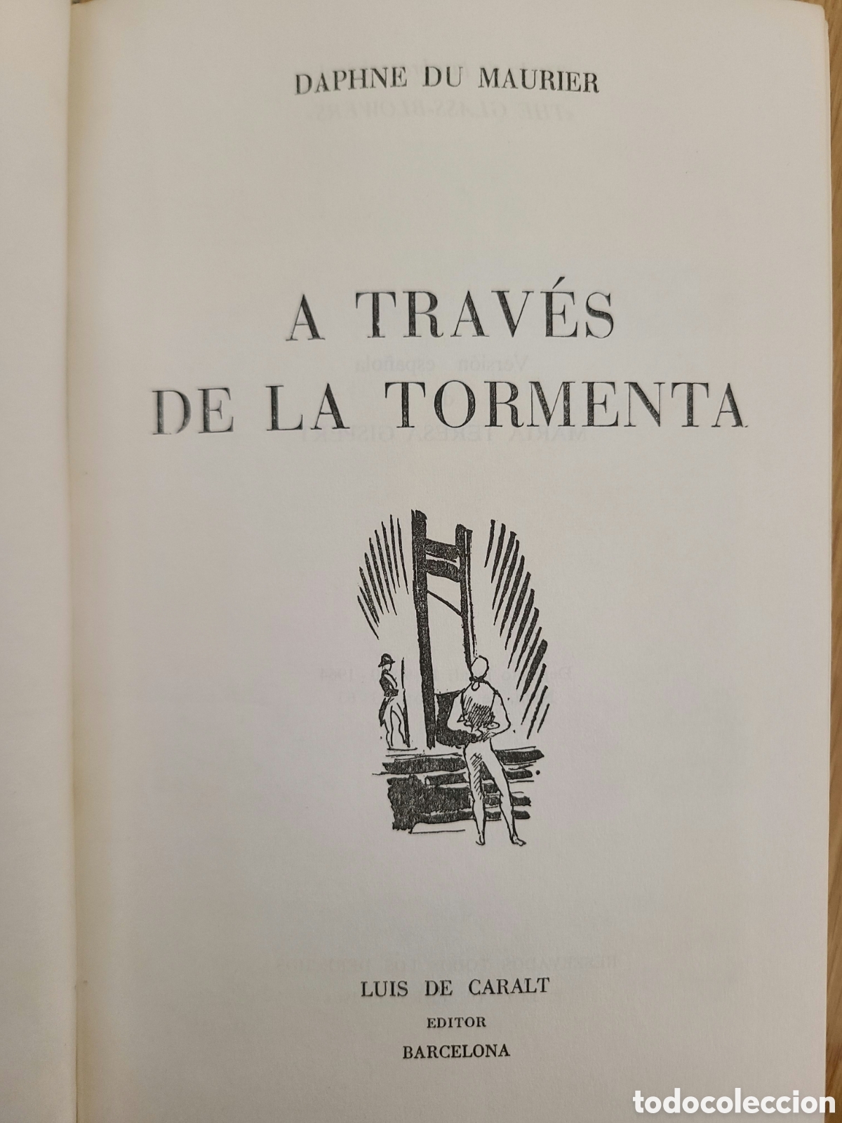 Libros de segunda mano: A trav&eacute;s de la tormenta - Foto 1