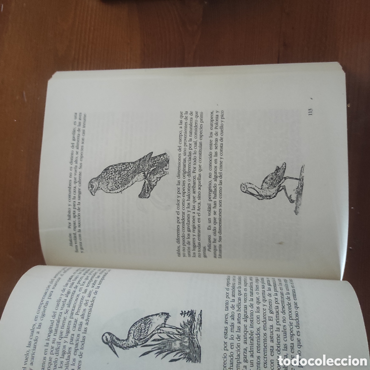 Libros de segunda mano: El Arca de No&eacute; - Atanasius Kircher - Foto 10