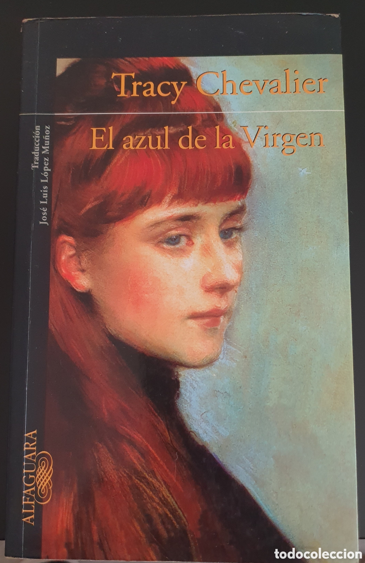 Libros de segunda mano: Tracy chevalier El azul de la virgen - Foto 1