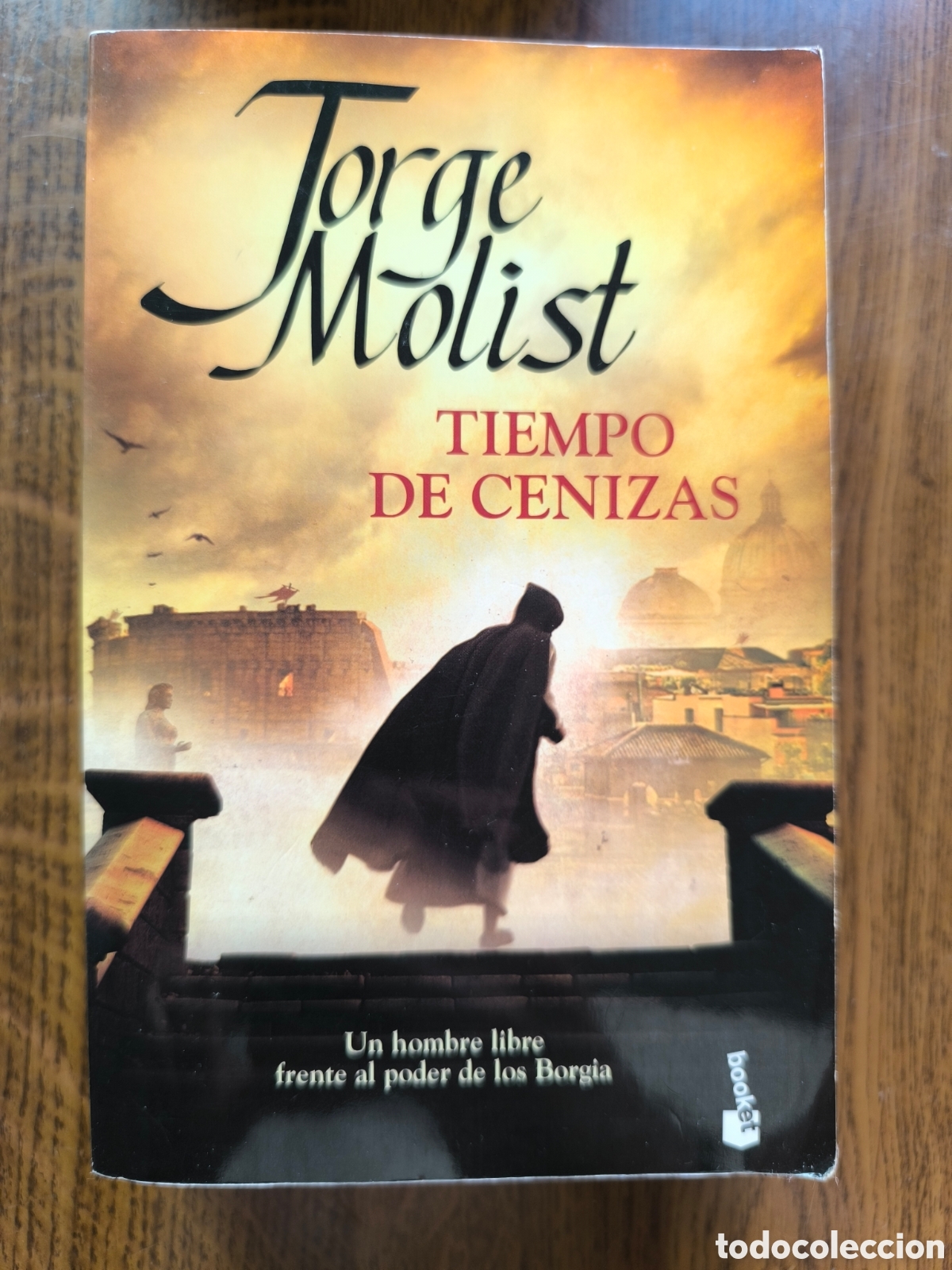 Gebrauchte B&uuml;cher: Tiempo de cenizas de Jorge Molist