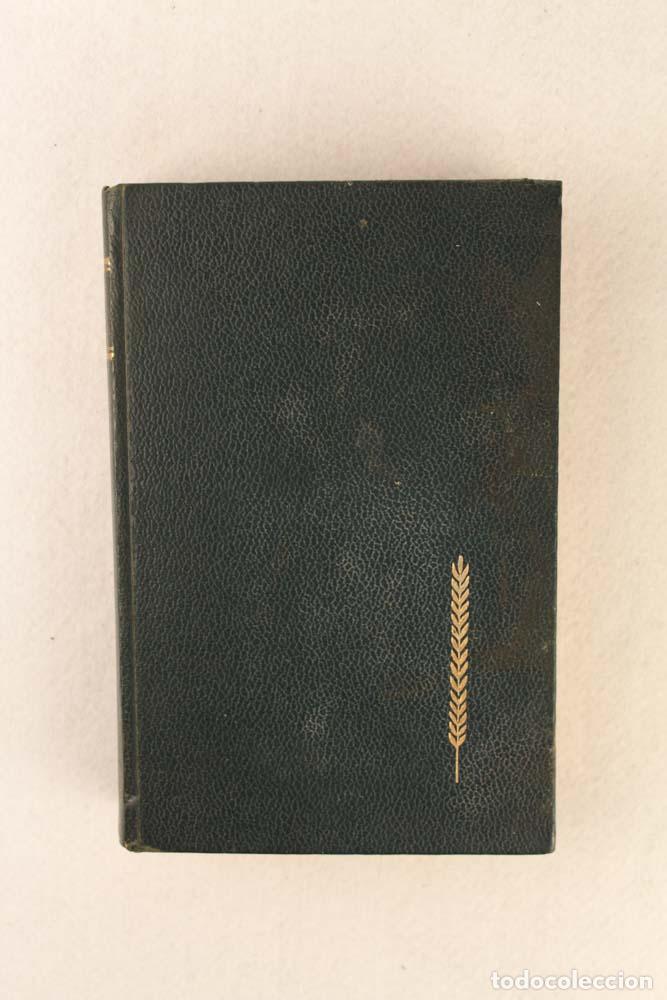 Libros de segunda mano: Mila 18 - Leon Uris - Foto 1
