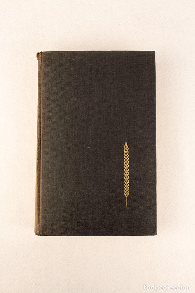 Libros de segunda mano: Ben-Hur - Lewis Wallace - Foto 2