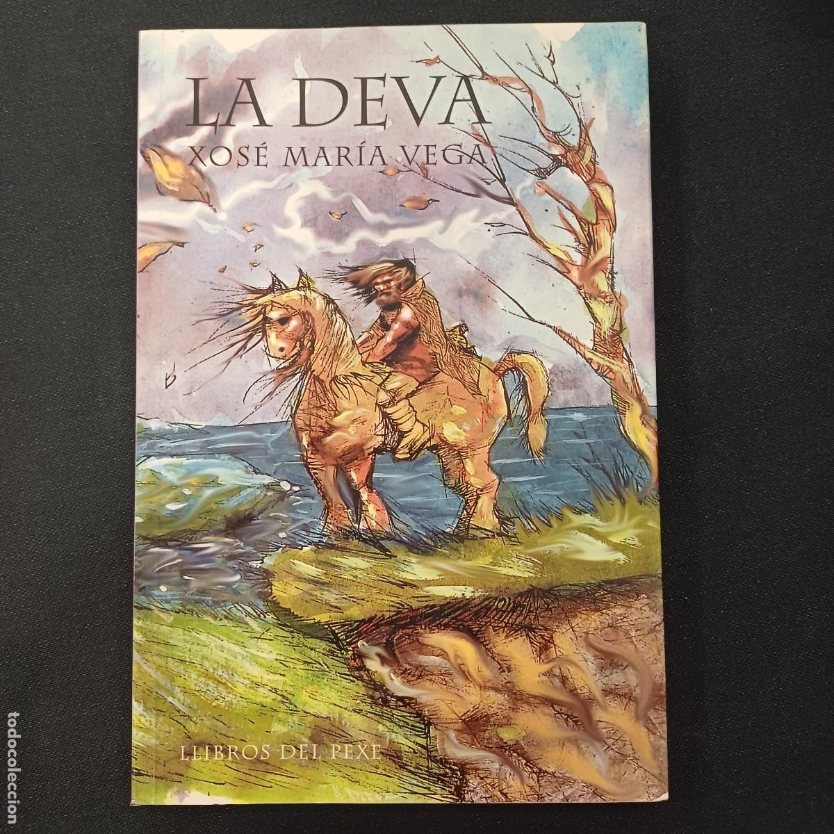 Libros de segunda mano: LA DEVA/XOSE MARIA VEGA/EN BABLE. - Foto 1