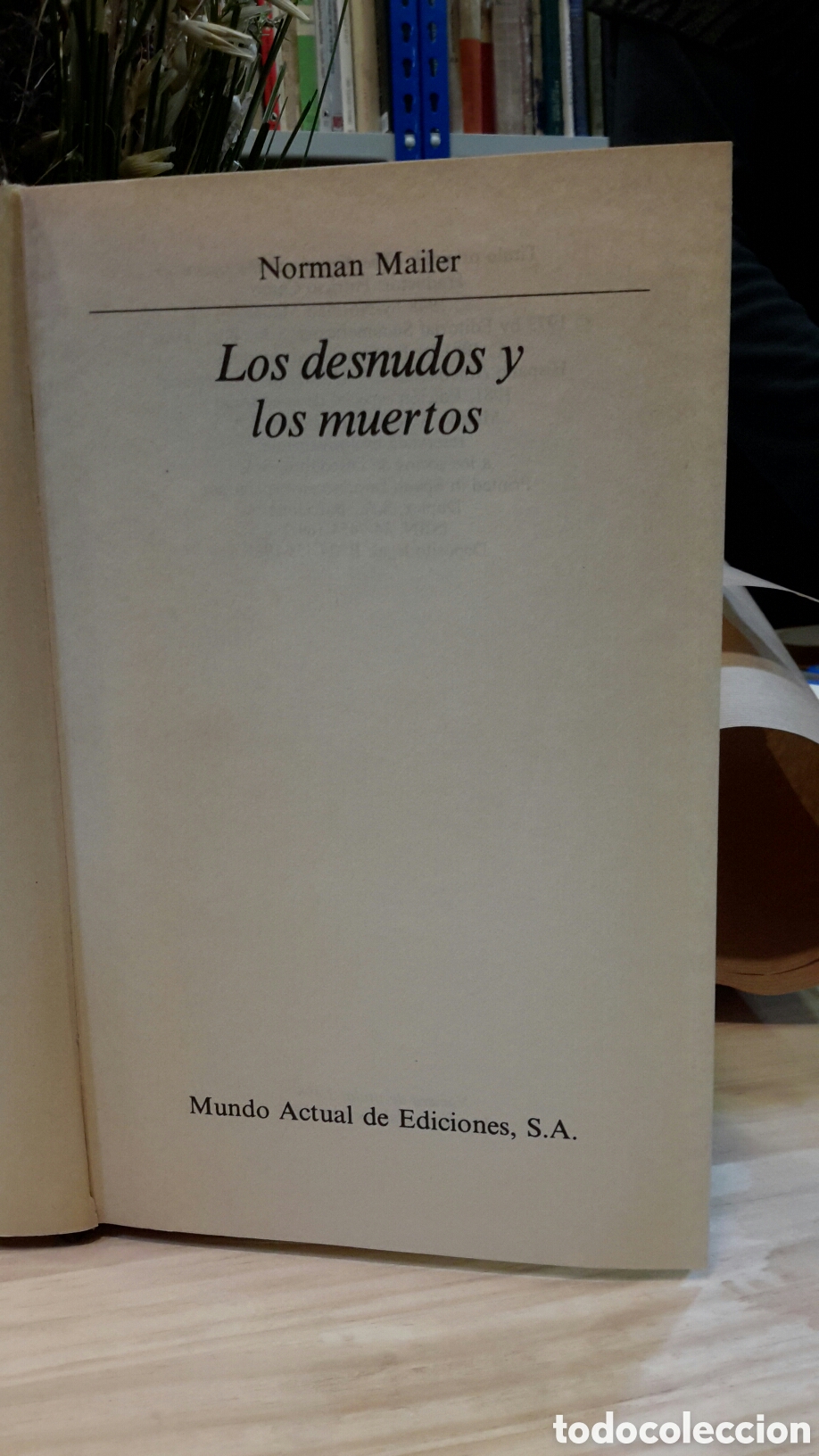Libros de segunda mano: Norman Mailer - Los Desnudos y los Muertos