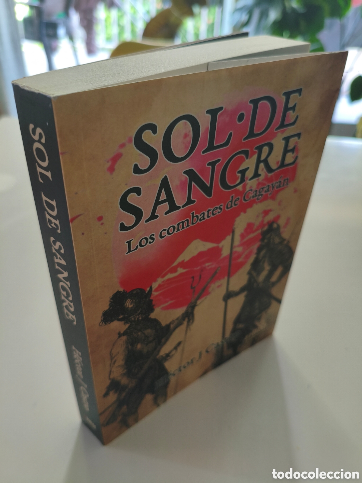 Libros de segunda mano: 959 - sol de sangre los combates de cagayan - Foto 3